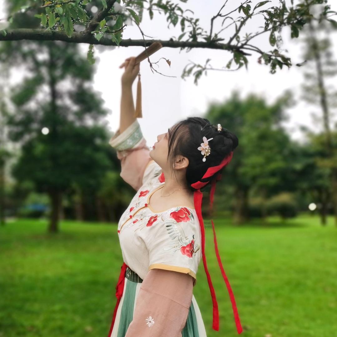 酸奶团子🌸
