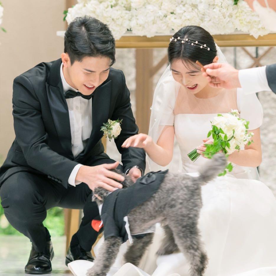 可可欧尼酱（已婚版）