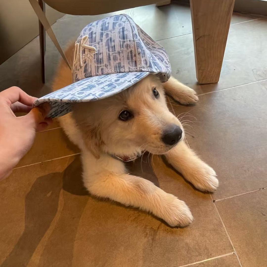 ㅤㅤㅤㅤㅤㅤㅤ ㅤㅤㅤㅤ ㅤㅤㅤㅤㅤㅤ