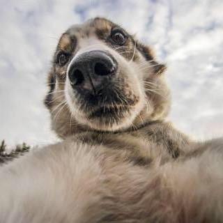 惠州商务KTV订房咨询