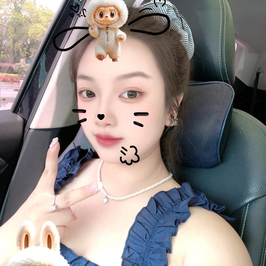 KT 猫