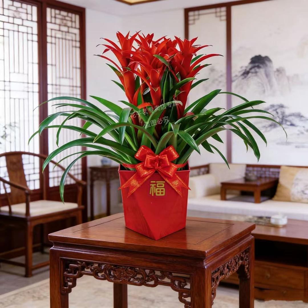 锦绣繁花花卉基地