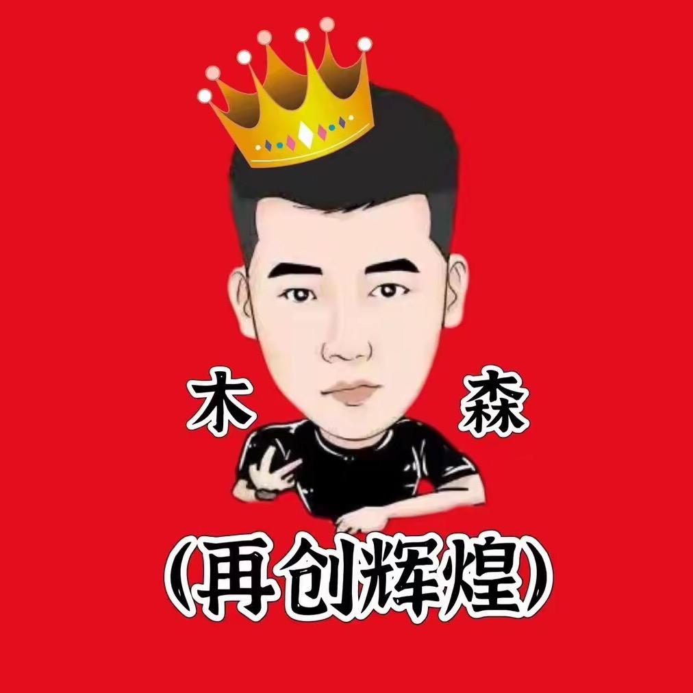 木森（辉煌归来）