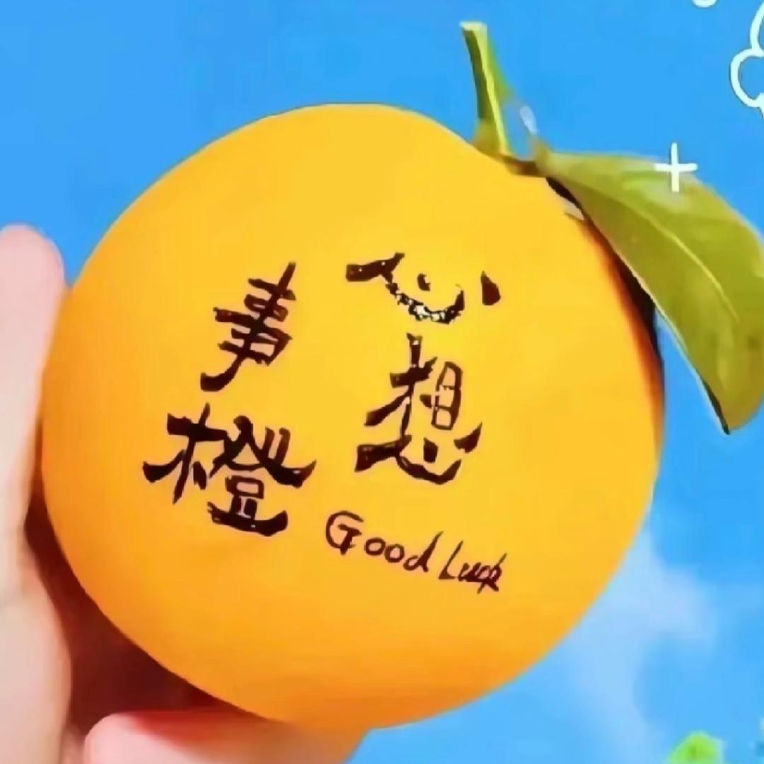 橘子（授权福利号）