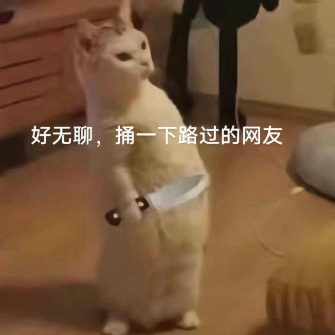 从今天起只看漫剧头像