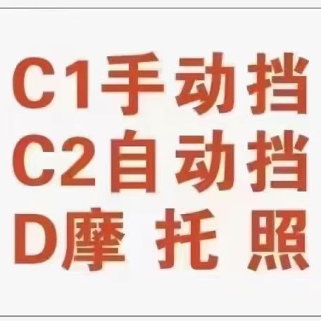 驾校劳模夏教练