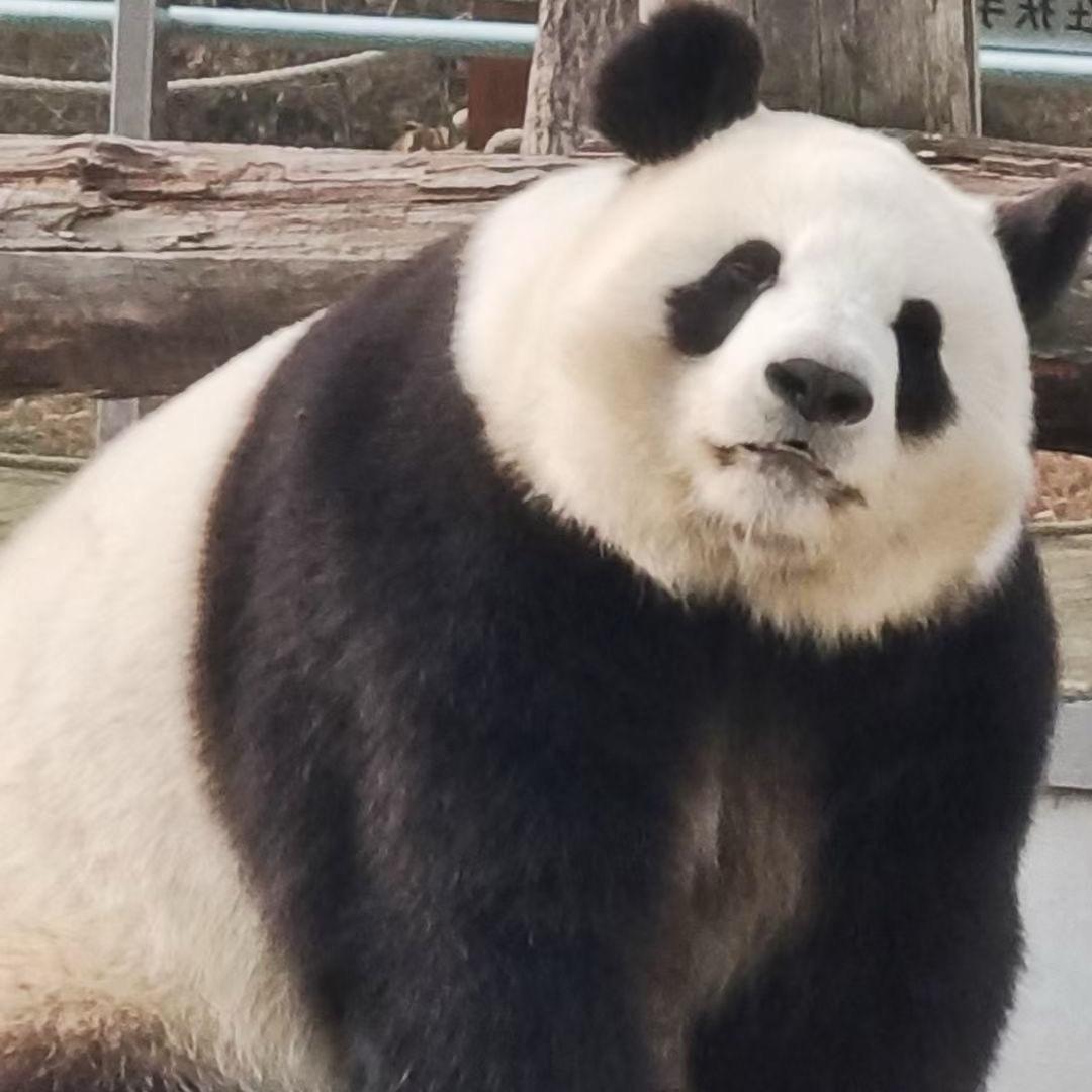 焦培园