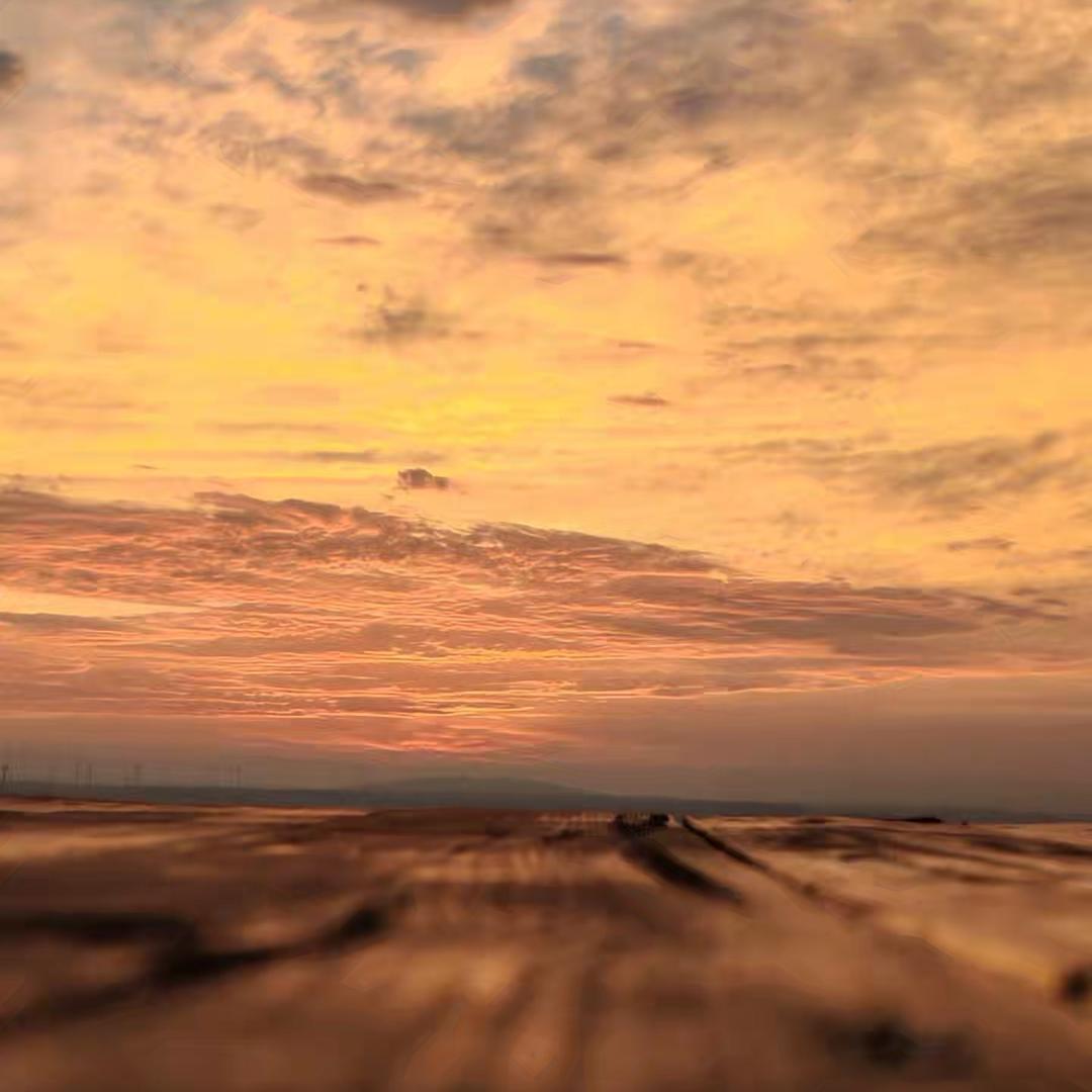 黑丝布过滤网  正60