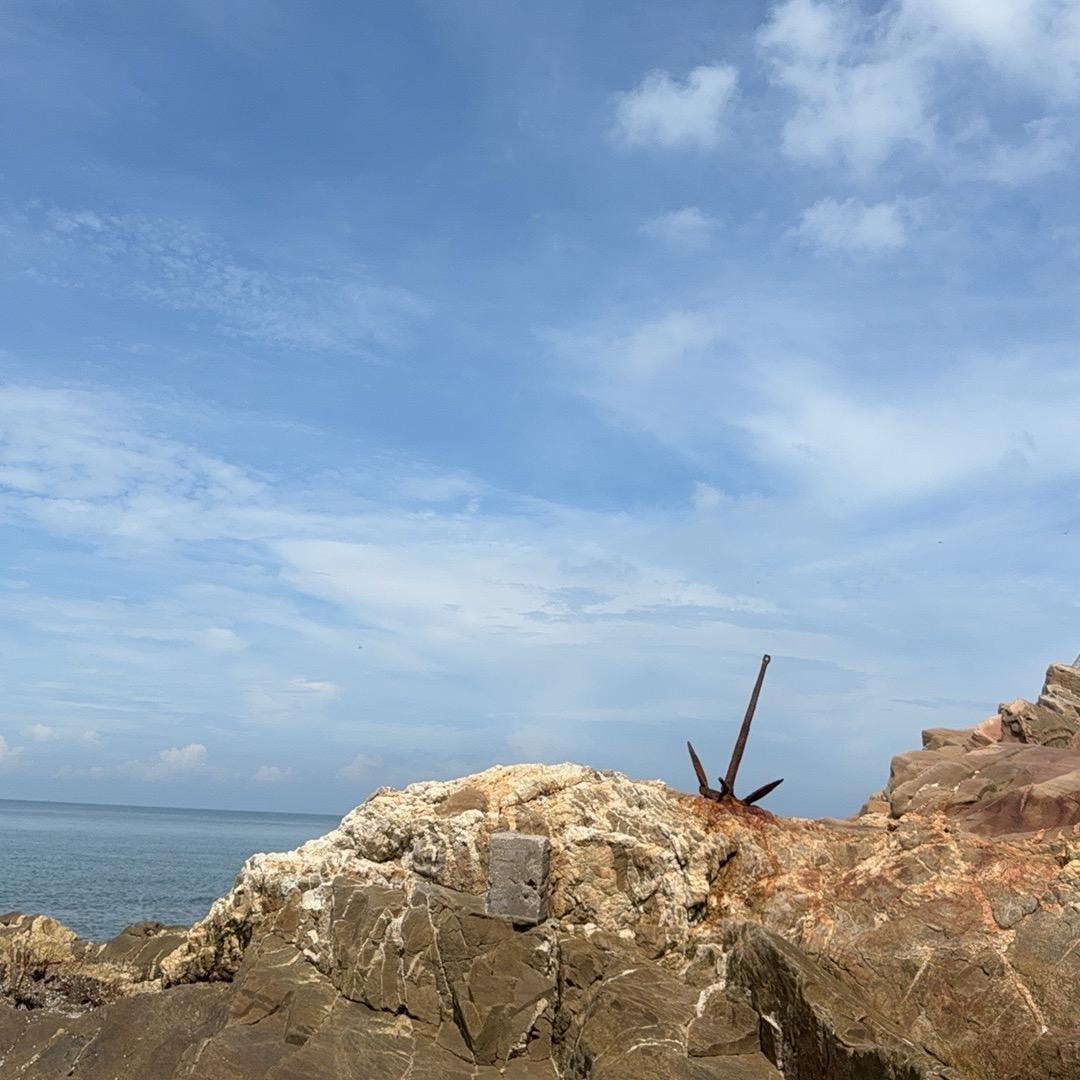 从你的全世界路过