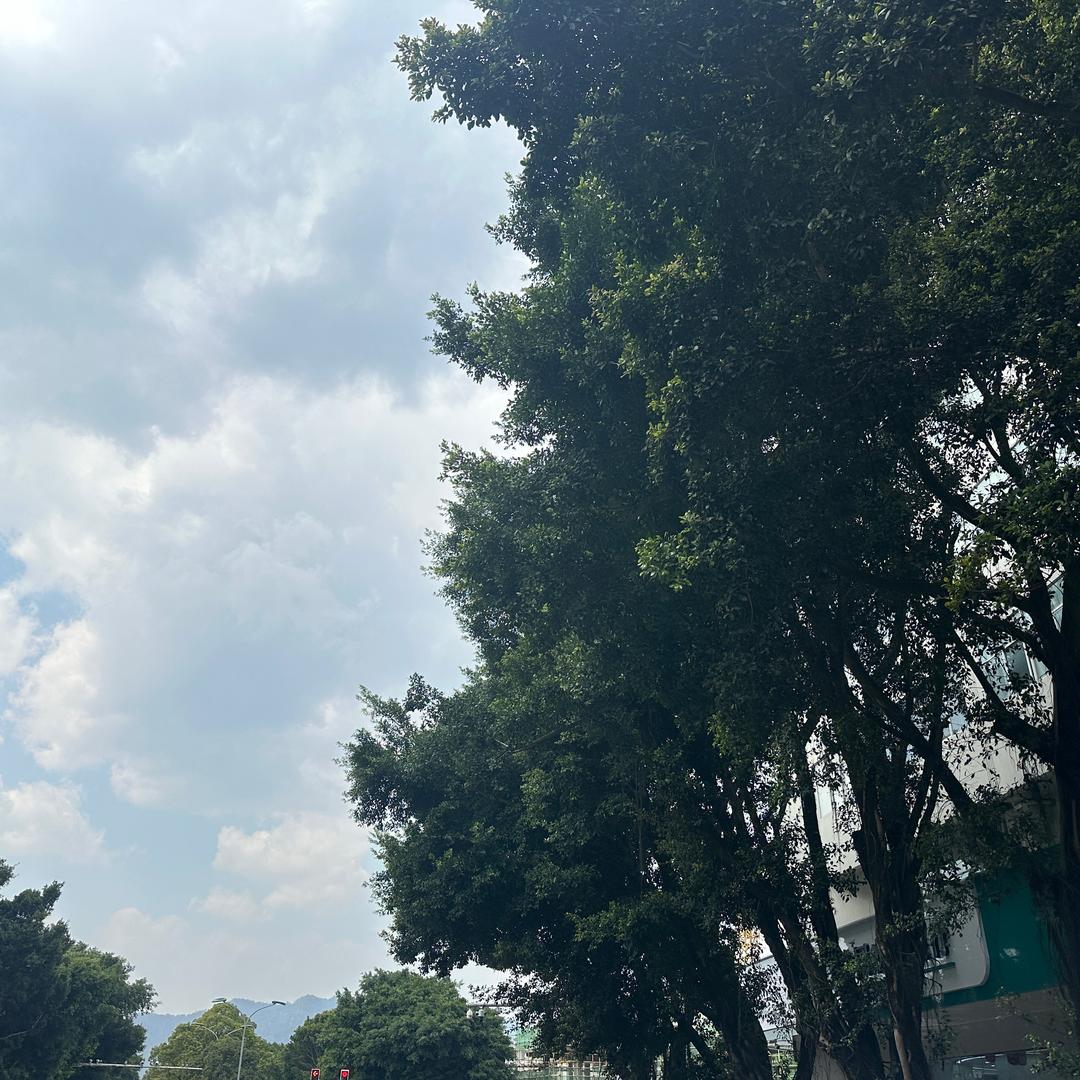 小何边境滋补店3