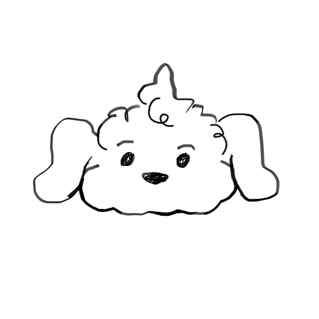 乌鸦19