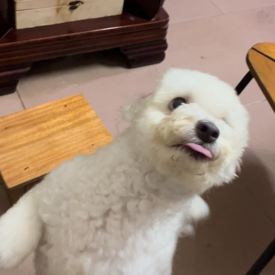 宏圣　　　　　　　　　　　　　广告✕