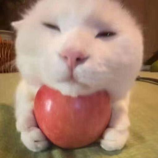 小铃铛🎐