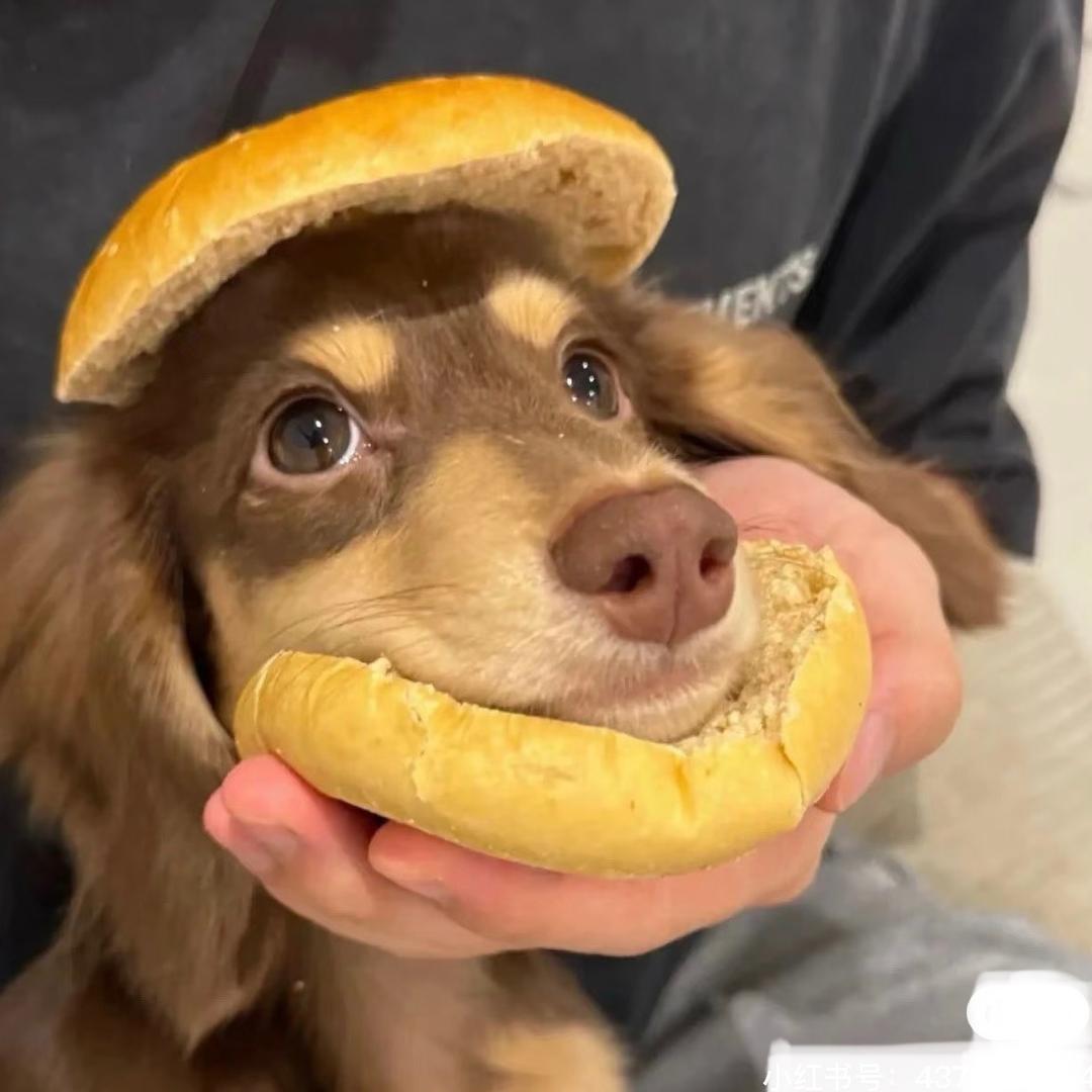 哈哈