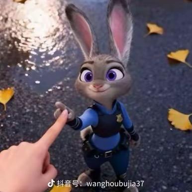 Zha♡̶𓈒𓏸ngNᰔᩚa✧