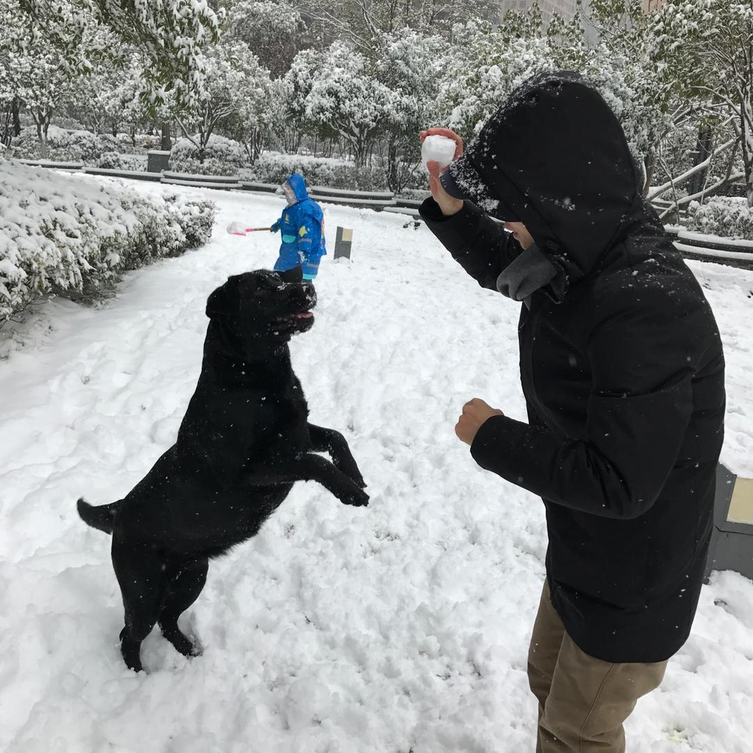 欢欢喜喜头像