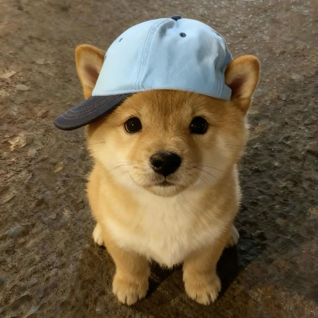 秋刀渔