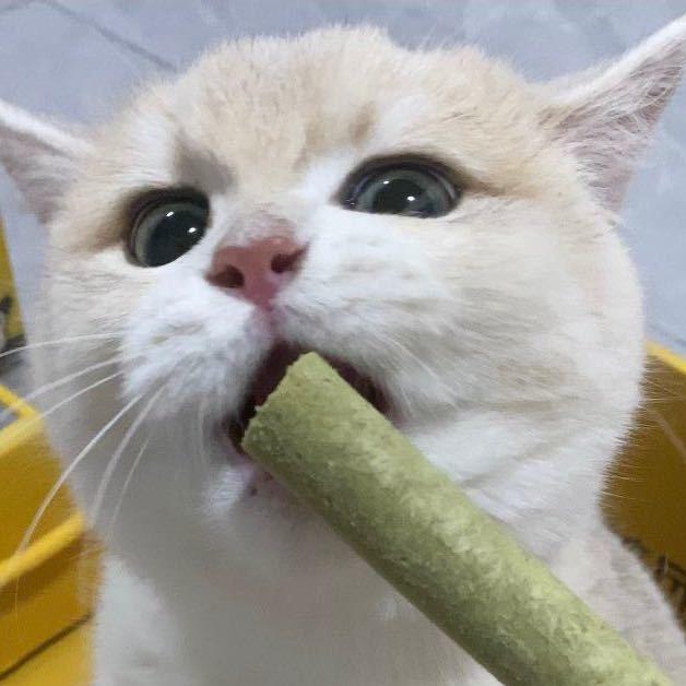 啵啵不鸡呀