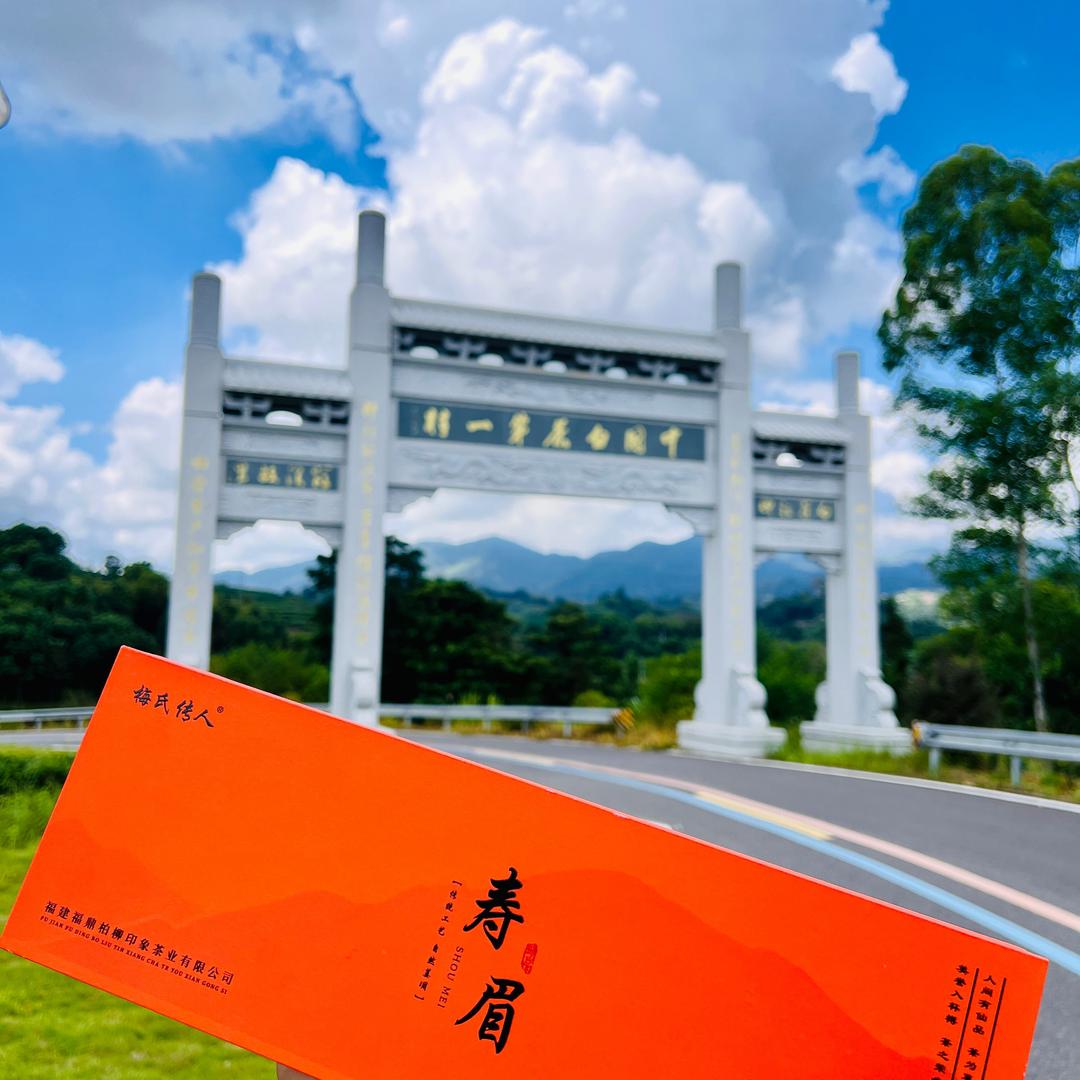 梅氏传人-福鼎白茶柏柳村
