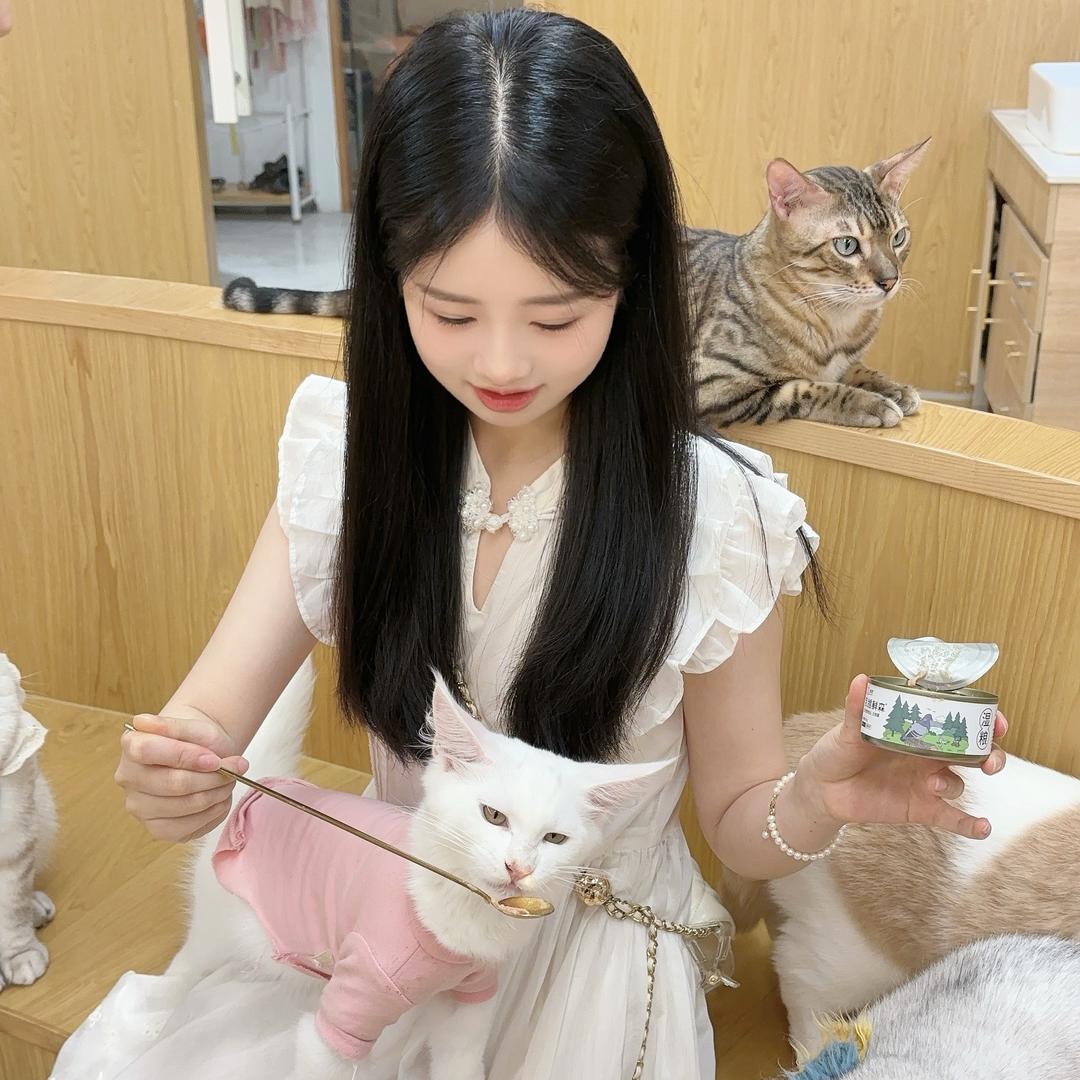 晕头小鱼诶