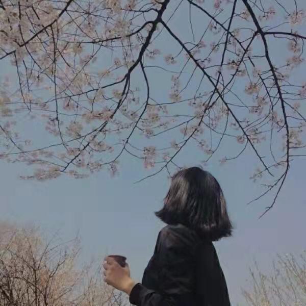冰心
