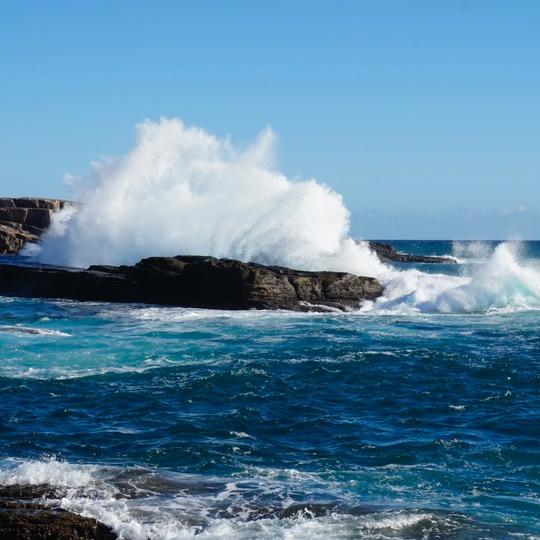 多拉阿蒙日杂小铺