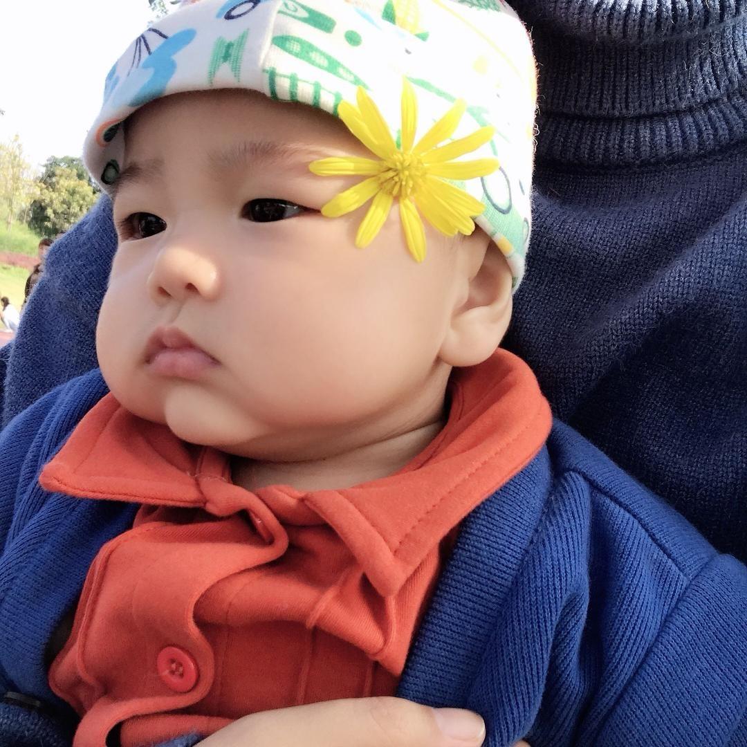 🎋