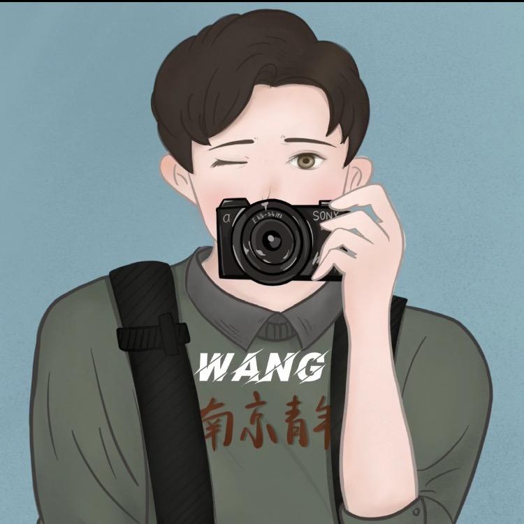 是王家卫的王啊