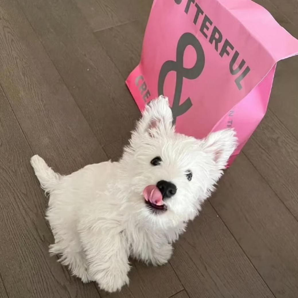 天津宸禾-小湮经纪