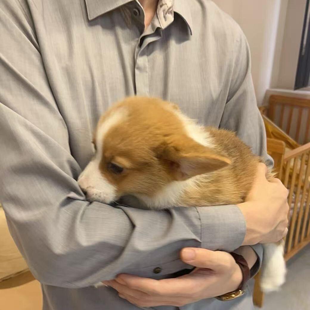 澈