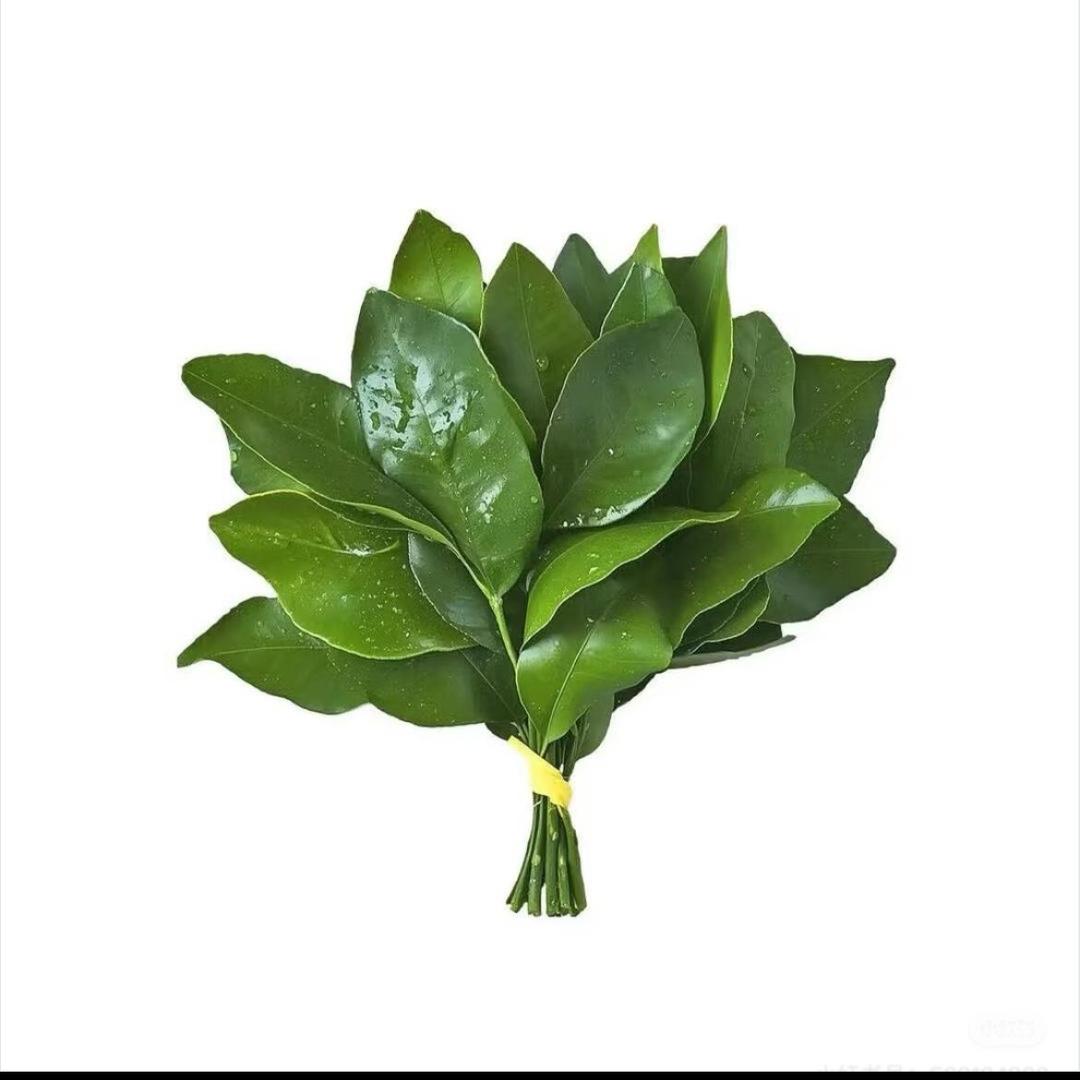爱笑的呵呵