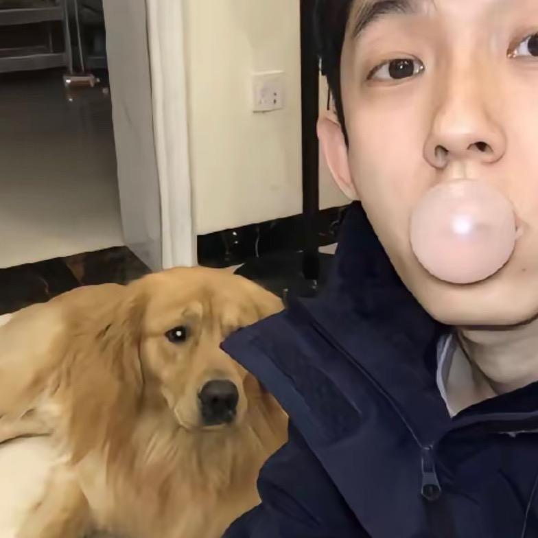 超级驼鹿.