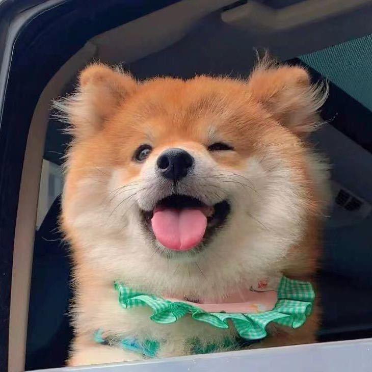 怎么改不了名字