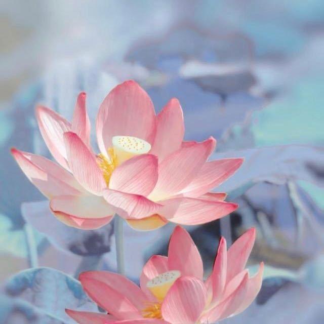 懒妈带娃
