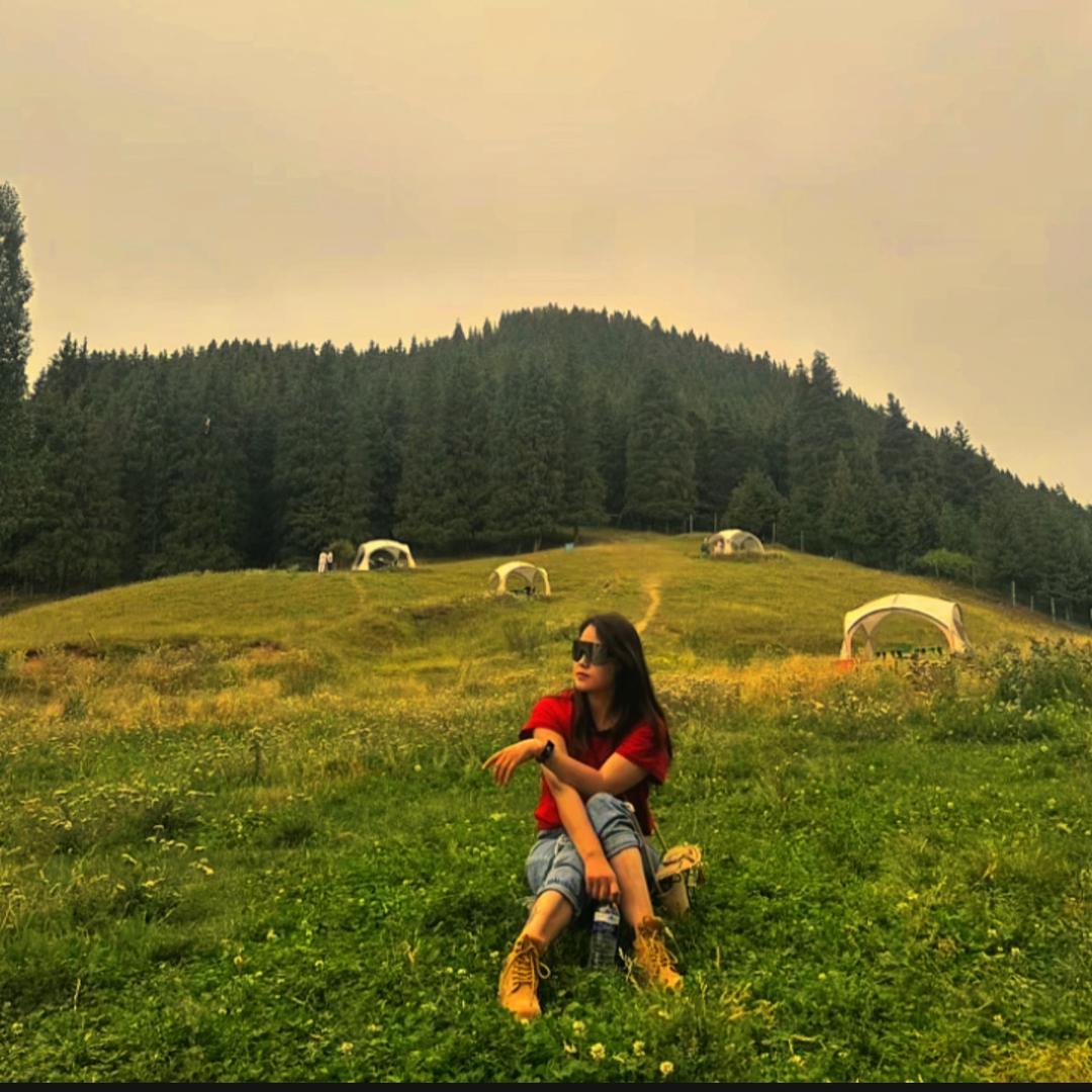 梅子爱旅行（自改床车）