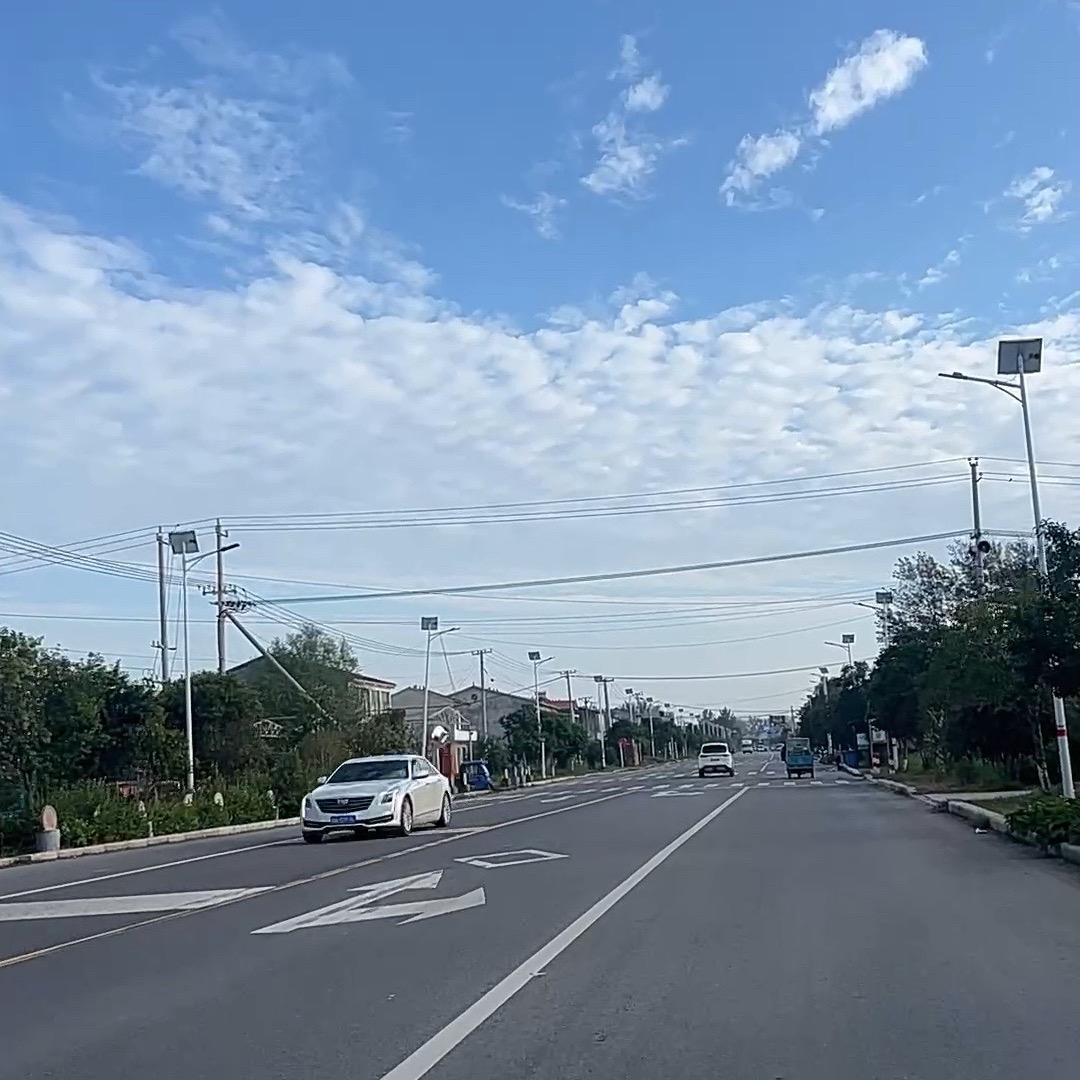 李小陌