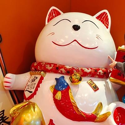 王老师（健身ing）