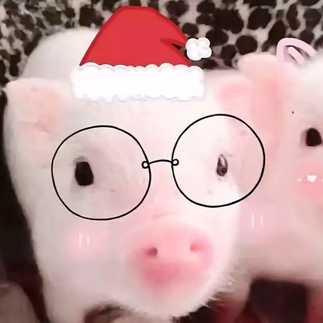 宝子（第五人格）