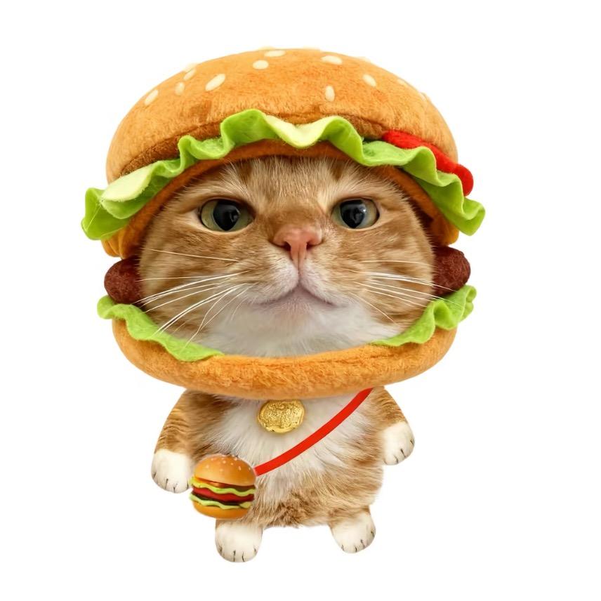 Kitty ≽^•⩊•^≼