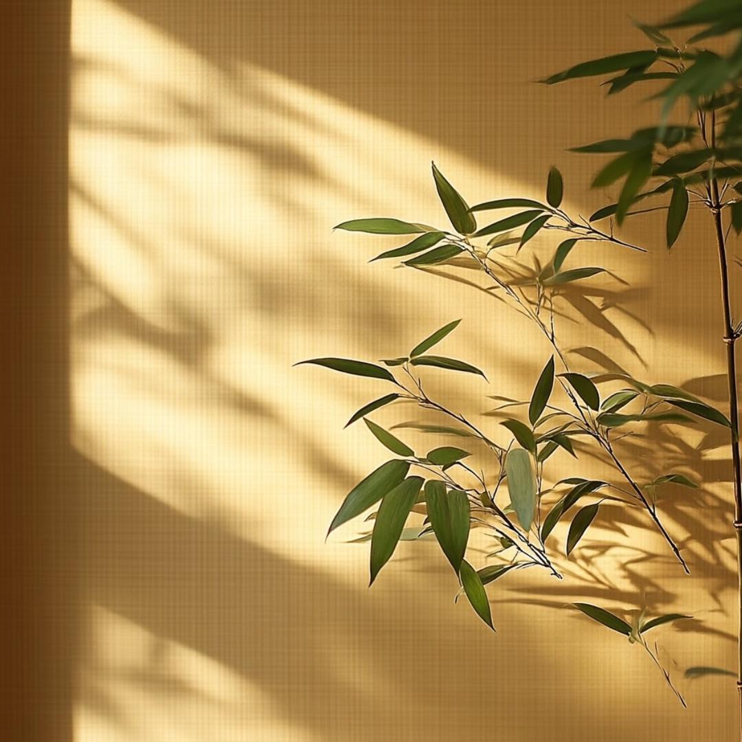 菲菲爱吃鱼