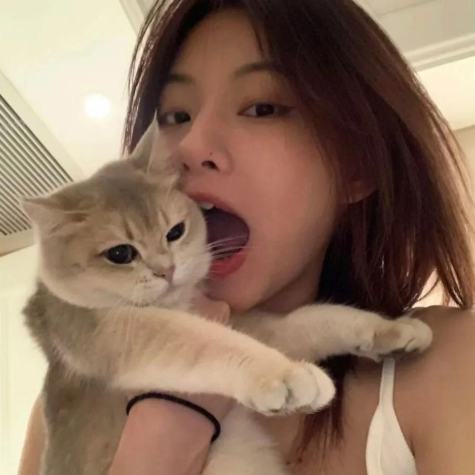 - 海绵宝宝☃️