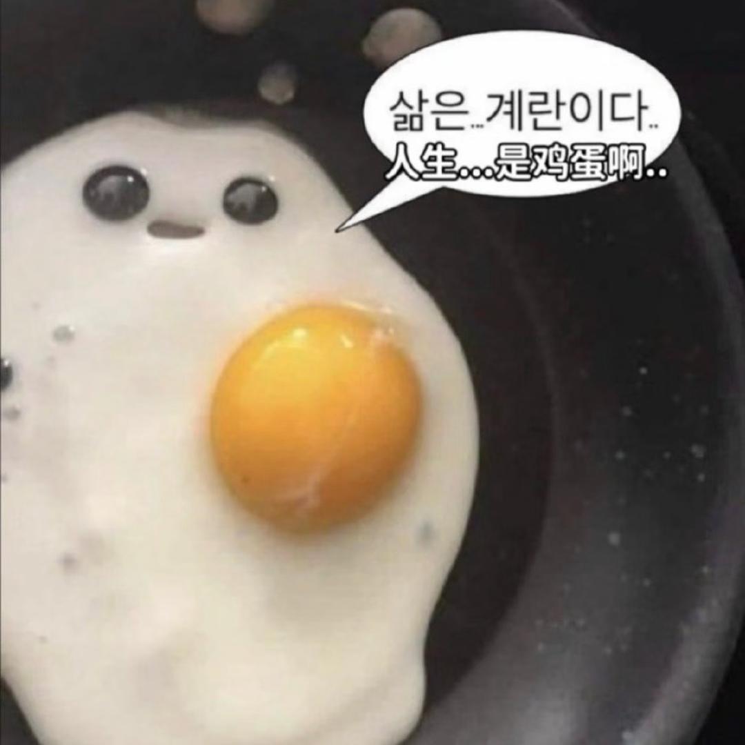 面包猫