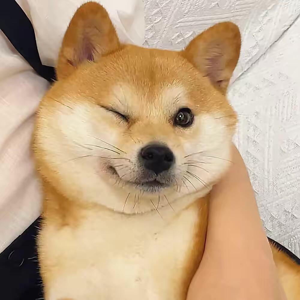 奇妙花园