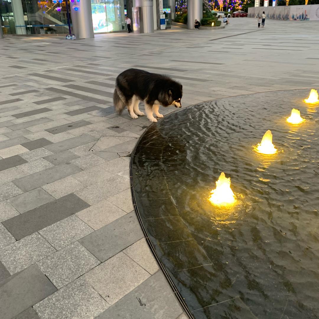 三姑是你哥