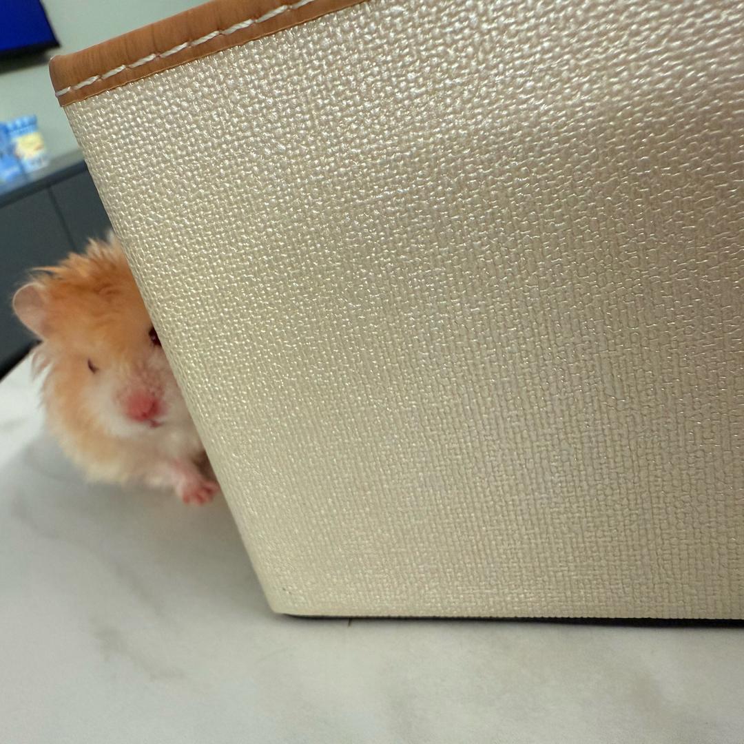 可乐º