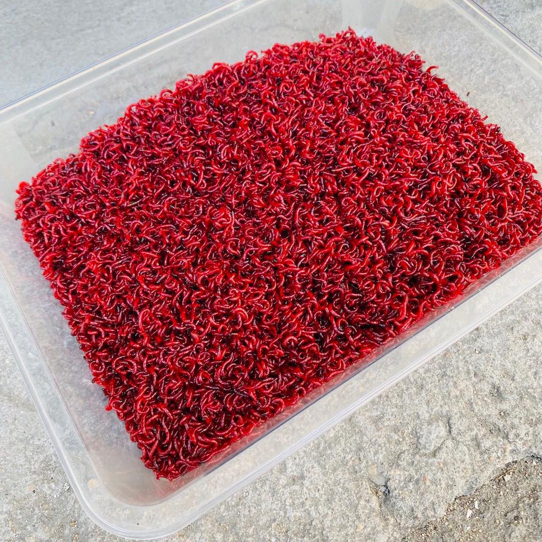 风暴户外用品