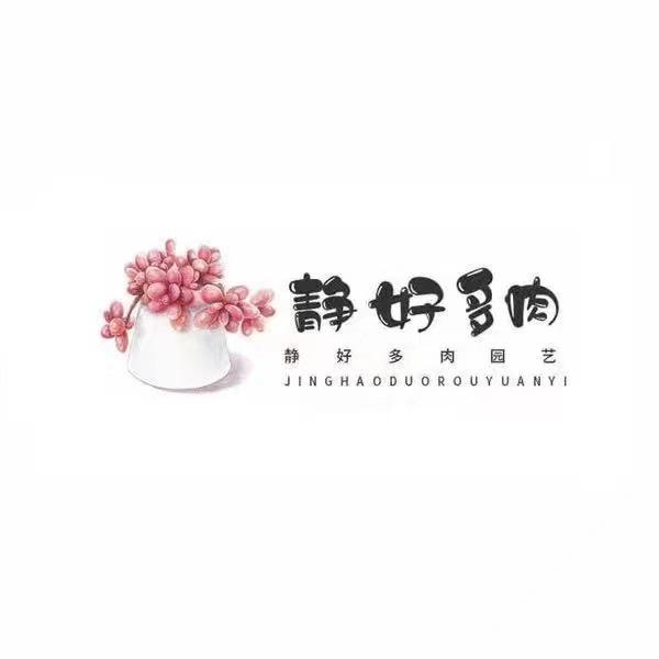 静好多肉园艺（接走寄养）
