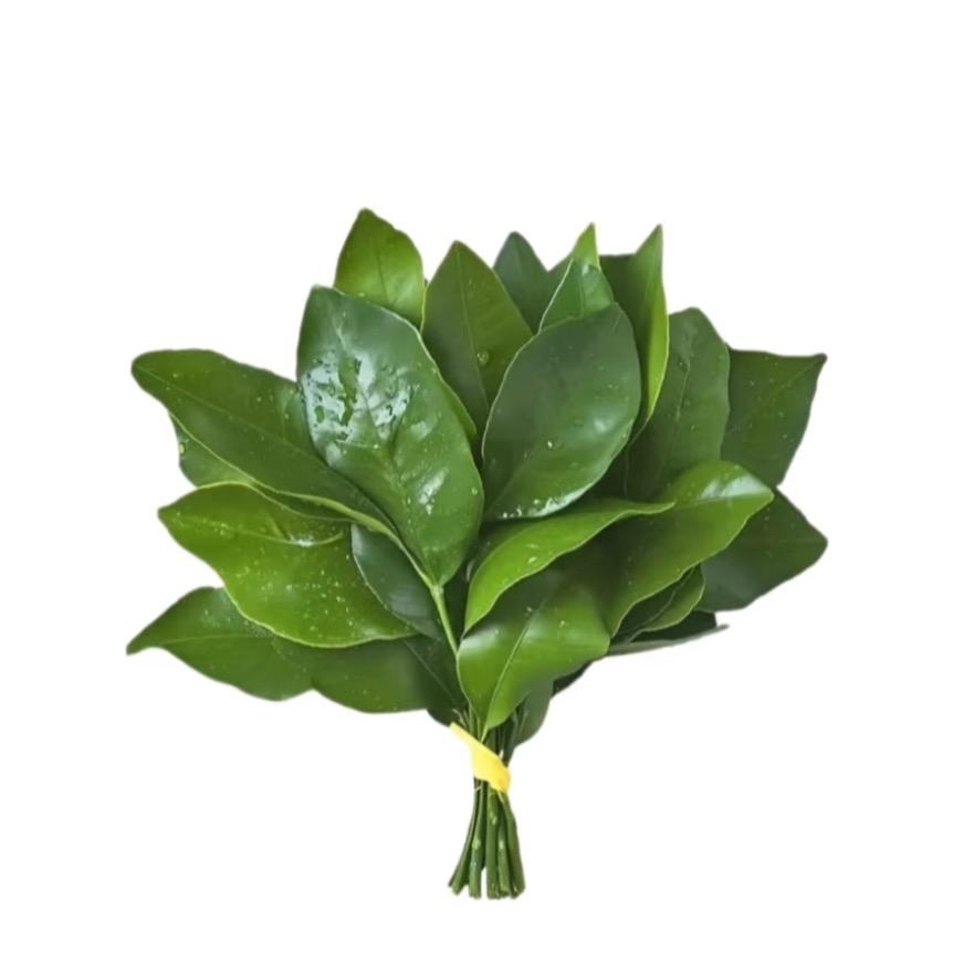 睡不醒.