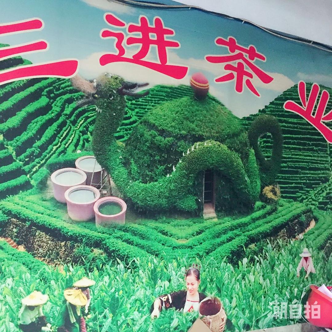 靴中鞋 好物推荐