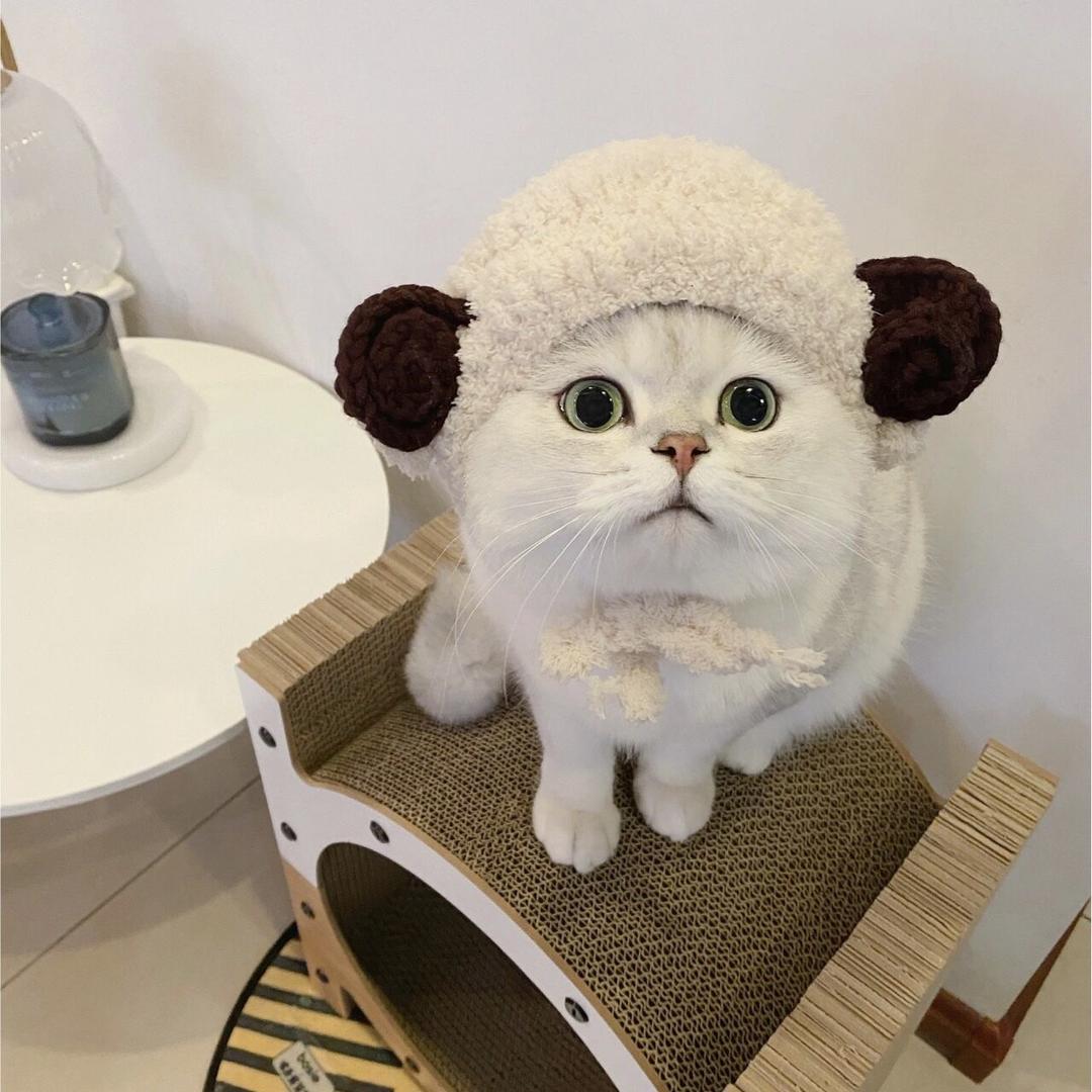 明儿